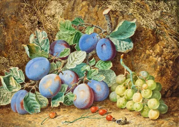Plums and Grapes